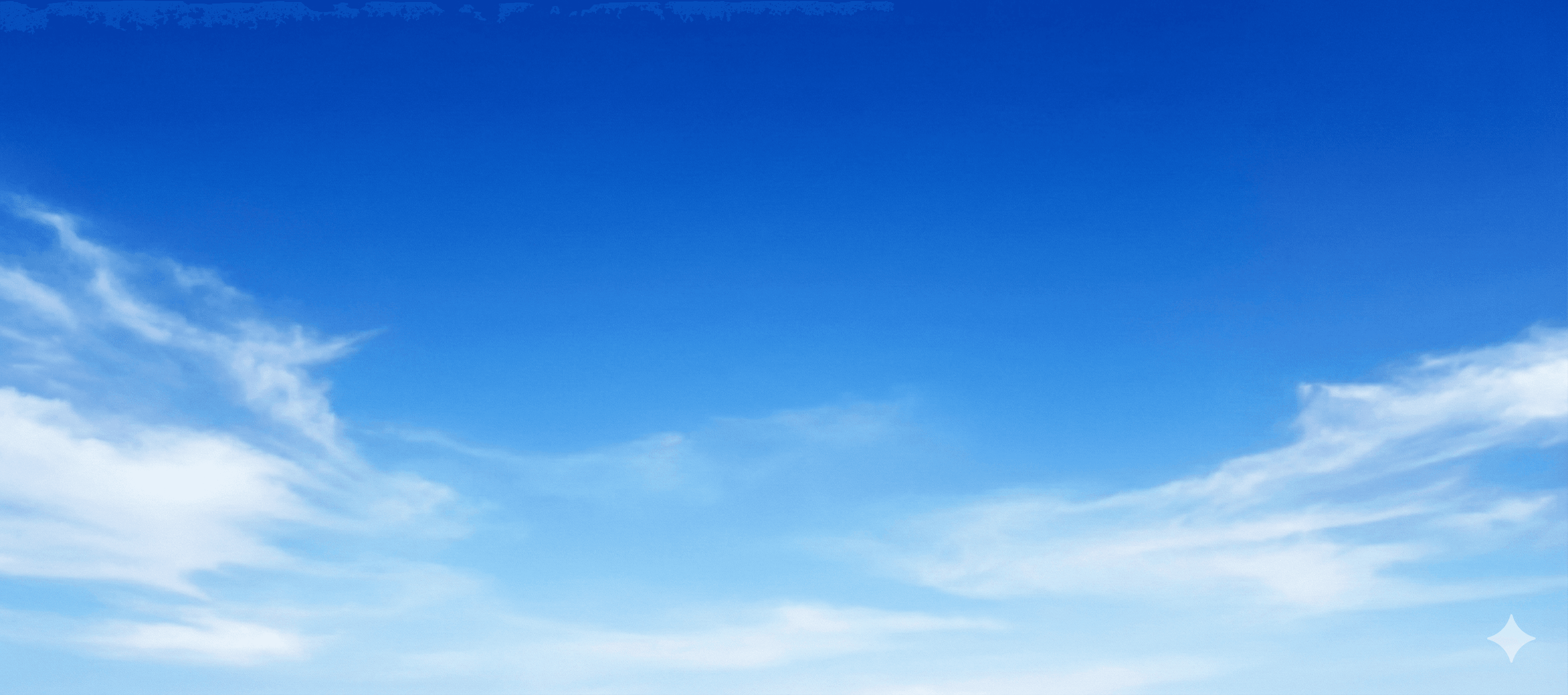 FxTrusts MetaTrader 5 white-label platform background