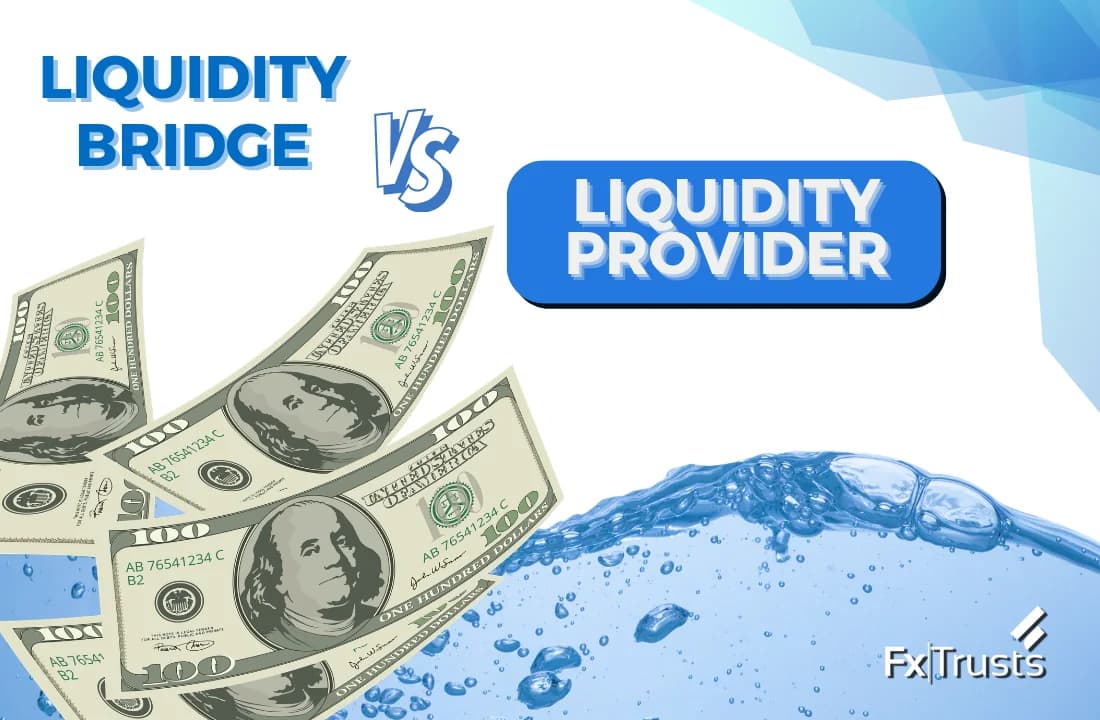 Liquidity Bridge vs Liquidity Provider