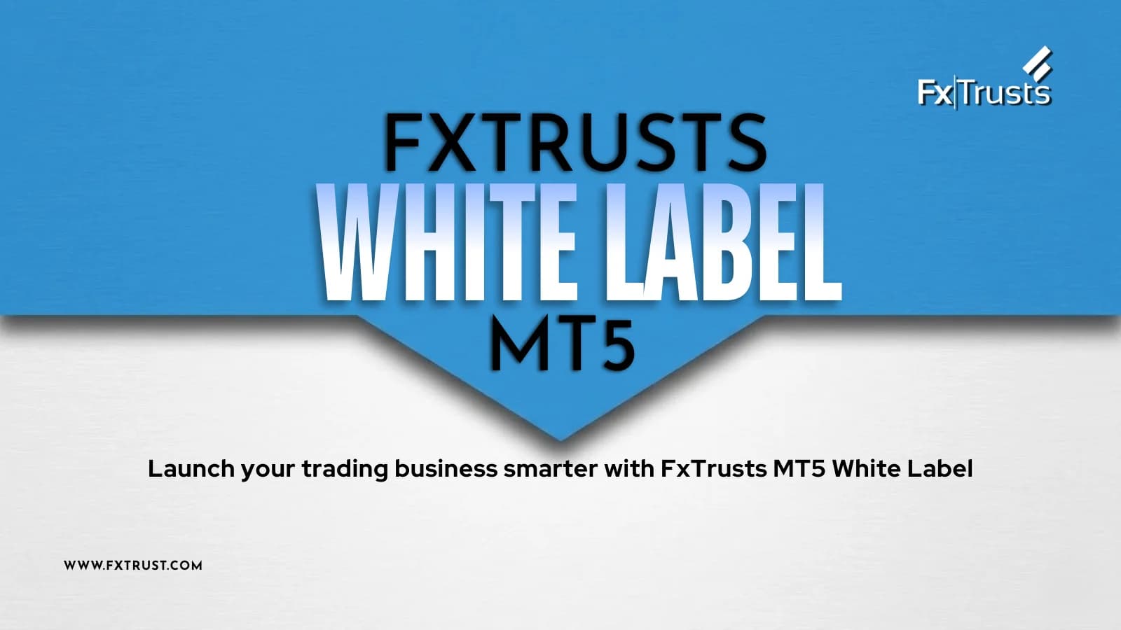 FxTrusts Clients Launch MT5 Brokerage