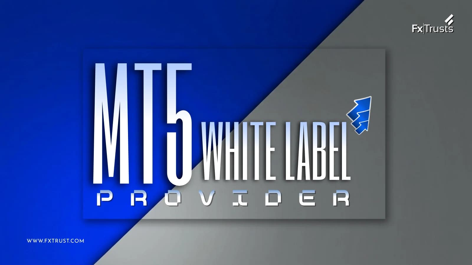 MT5 White Label Provider