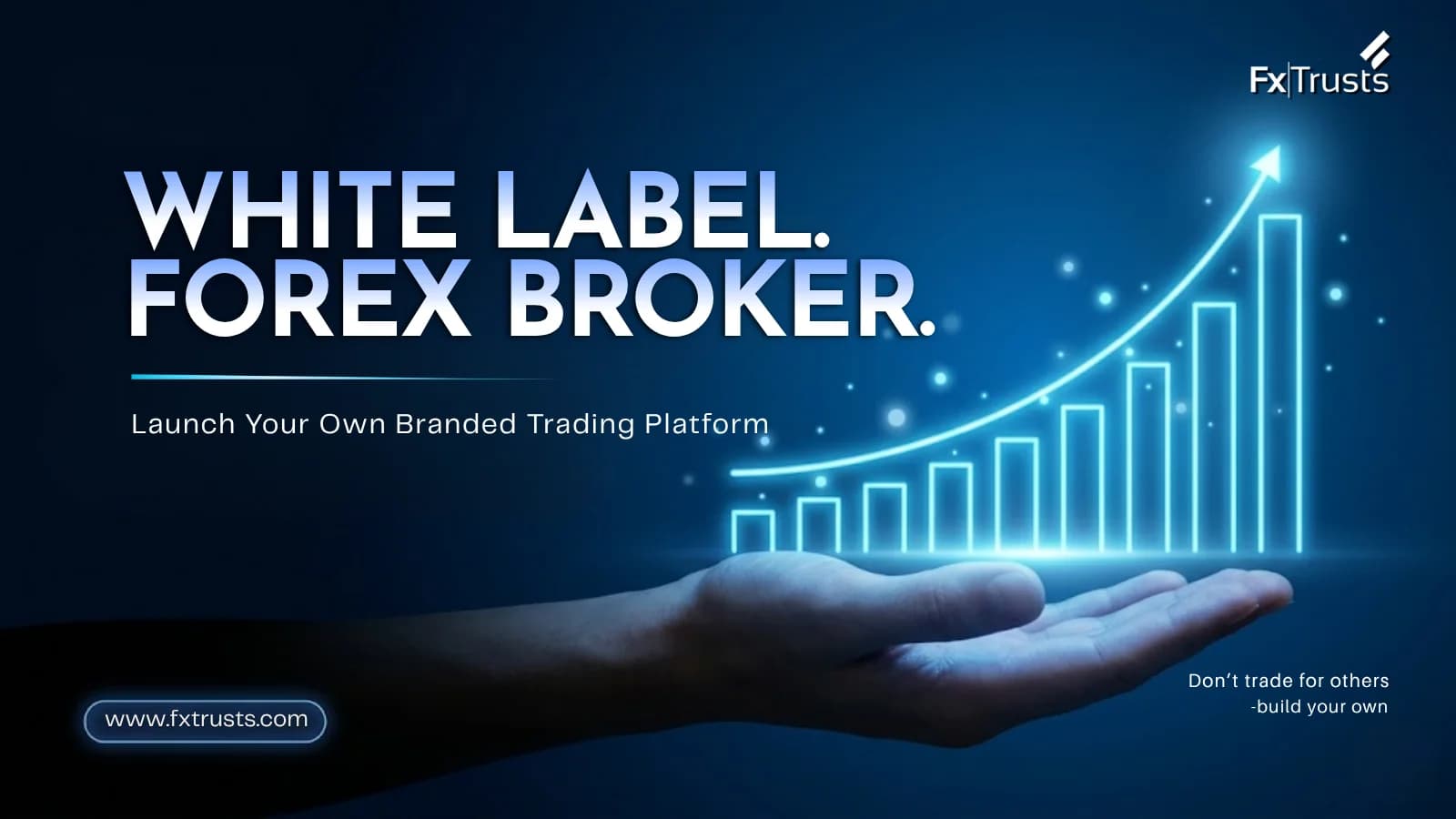 What Is a White Label Forex Broker? Roles and Responsibilities