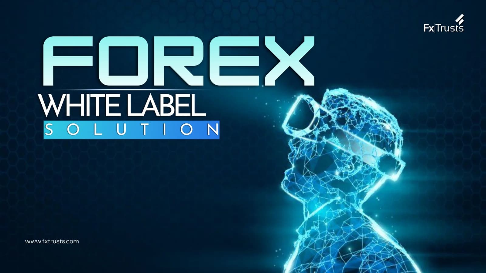 Forex White Label