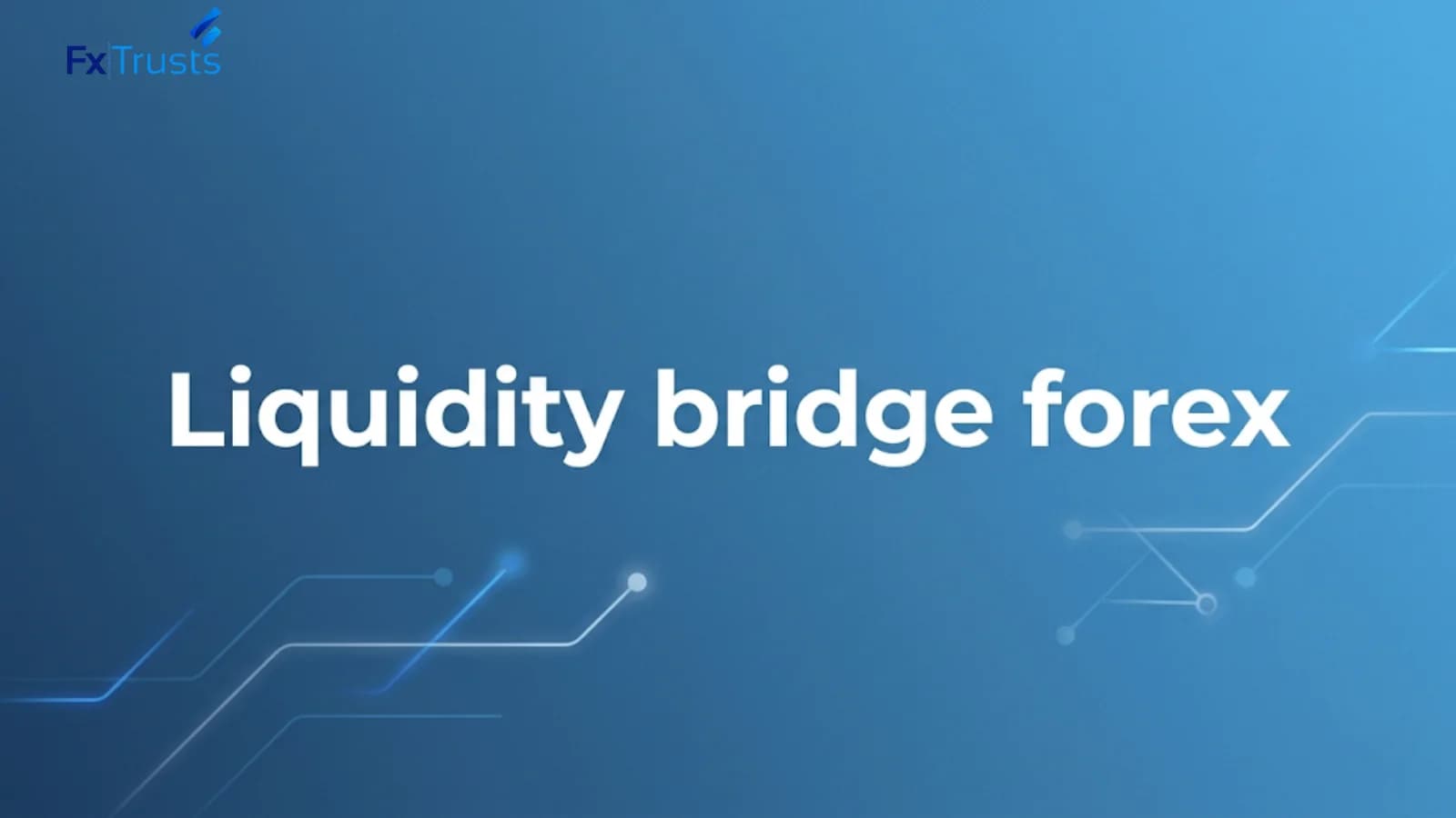 Liquidity Bridge Providers