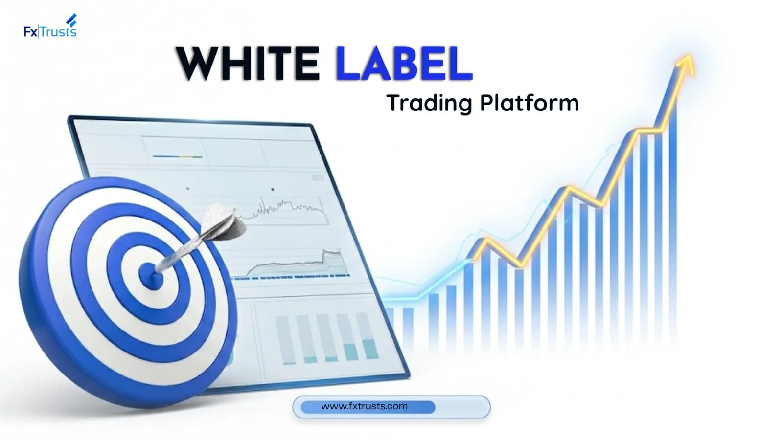 White Label Trading Platform: Guide